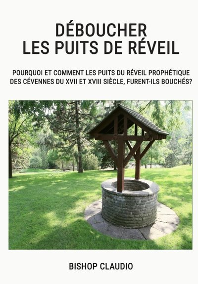 livre bishop claudio deboucher les puits de reveil