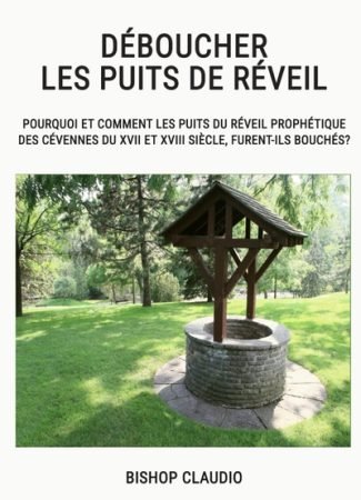 livre bishop claudio deboucher les puits de reveil